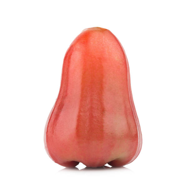 istock rose apple from thailand isolated on white background 938136628