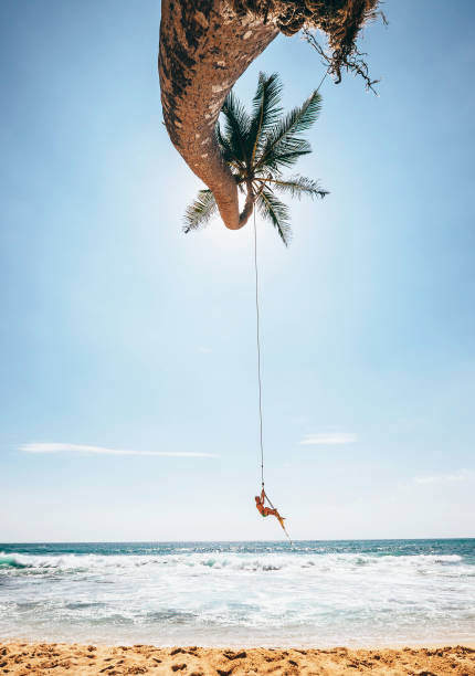 istock Happy little boy dangles on tropical palm tree swing 938136876