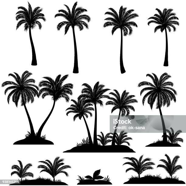 Palm Trees And Plants Silhouettes Stock Illustration - Download Image Now - Palm Tree, In Silhouette, Vector
