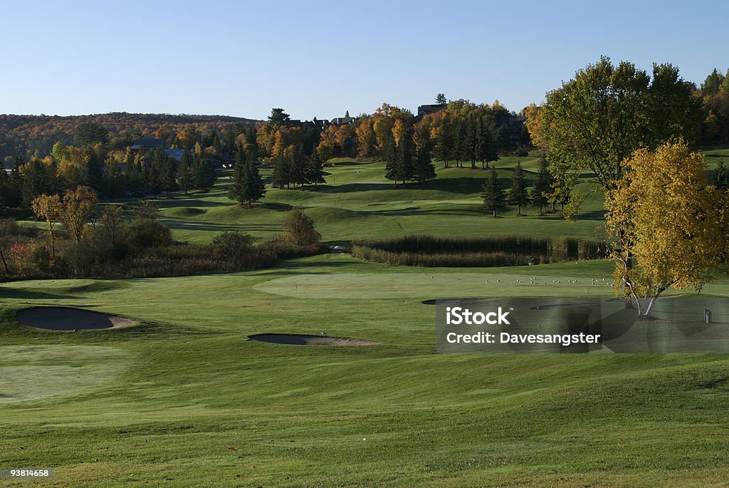 Golf - Foto stock royalty-free di Albero