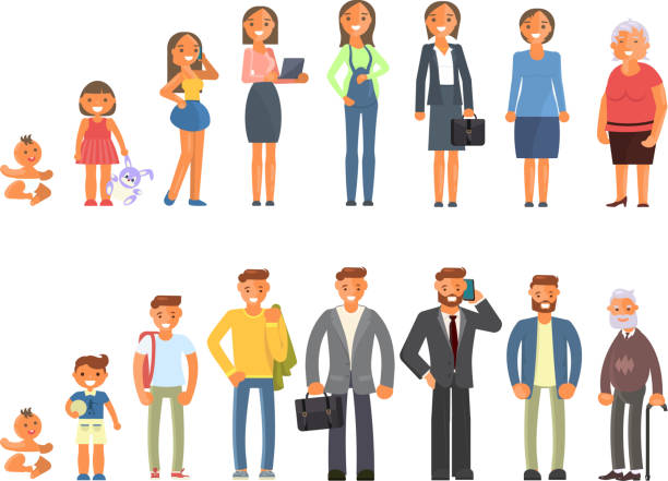 Cartoon Of Human Life Cycle Stock Photos, Pictures & Royalty-Free Images - iStock Cartoon Of Human Life Cycle Stock Photos, Pictures & Royalty-Free Images - iStock