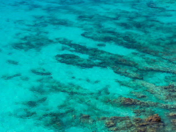istock Abstract nature background. Clear turquoise sea with coral reef. 938148624
