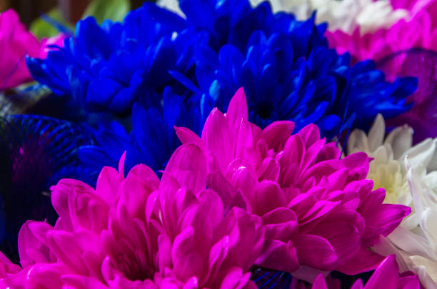 Beautifully decorated bouquet of chrysanthemums.