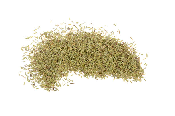 istock rosemary dried isolated on white background 938150086