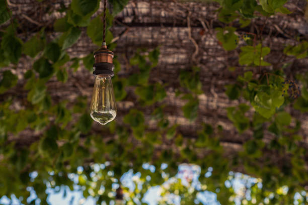 istock Lighted bulb on a thatched roof in cafe 938154446
