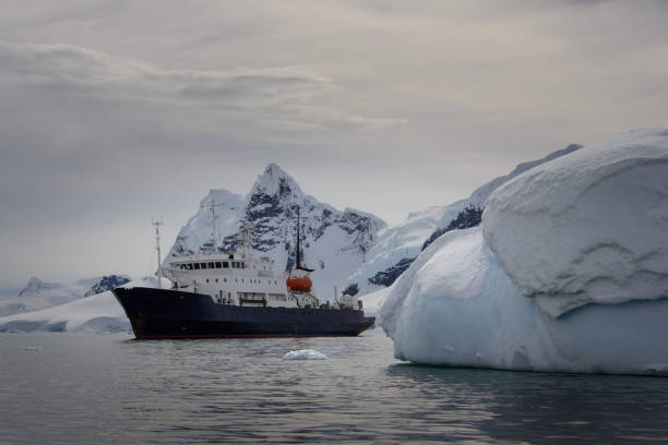 istock Expedition ship in Antarctic sea 938174064