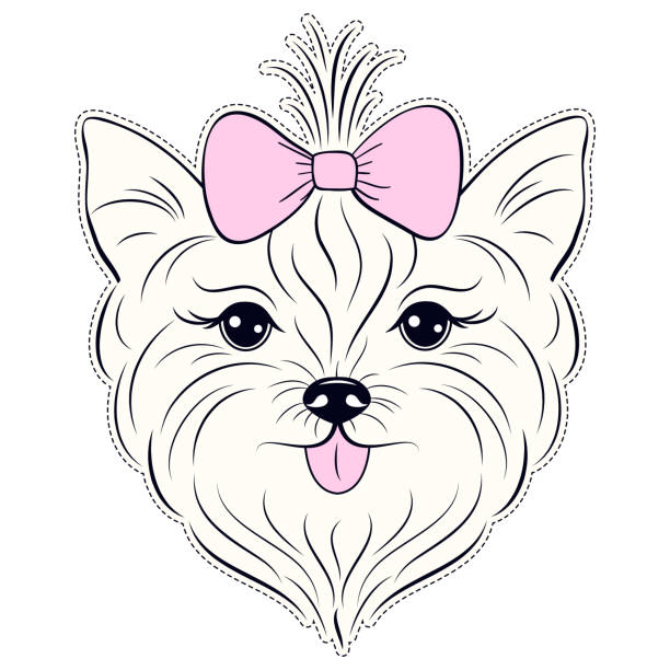 ilustraciones, imágenes clip art, dibujos animados e iconos de stock de cabeza de mano dibujada yorkshire terrier - dog smiling animal tongue pink