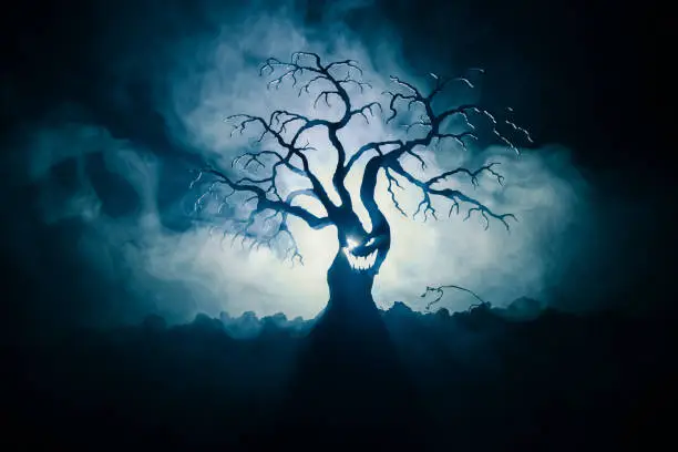 Silhouette of scary Halloween tree with horror face on dark foggy toned background with moon on back side. Scary horror tree with zombie and monster demon faces.