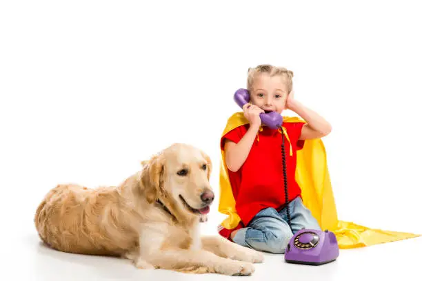 Lying golden retriever  with shocked little supergirl talking on phone isolated on white