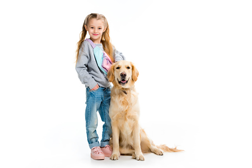 Little child standing with golden retriever isolated on white