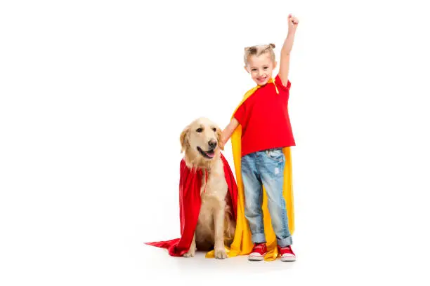 Dog standing in red cape with gesturing supergirl beside isolated on white