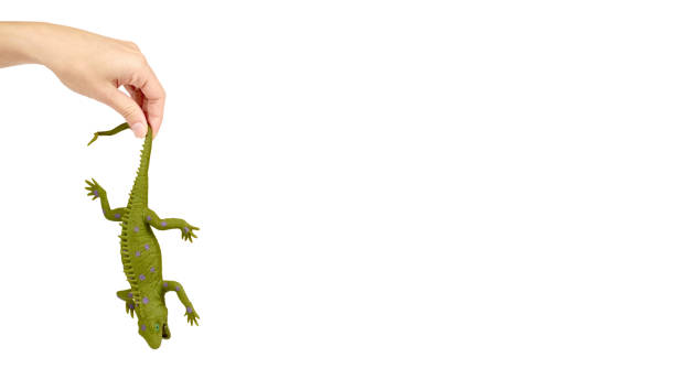 istock Silicone toy iguana in hand isolated on white background. Exotic animal game. copy space, template 938186094