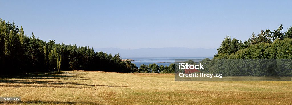 Island Farm im Sommer, San Juan Islands - Lizenzfrei Agrarbetrieb Stock-Foto