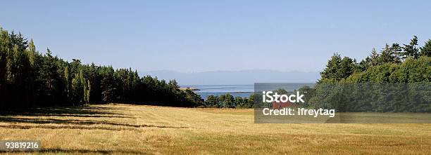 Island Farm Im Sommer San Juan Islands Stockfoto und mehr Bilder von Agrarbetrieb - Agrarbetrieb, Blau, Bundesstaat Washington