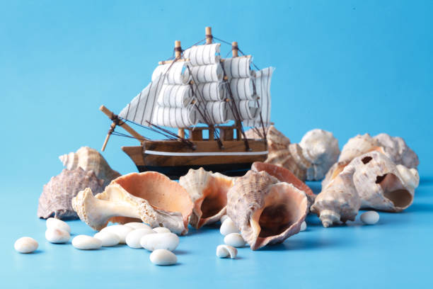 istock Sea travel in vacation concet with shell and ship 938206576