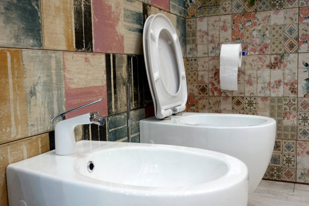 istock Toilet and bidet 938206718