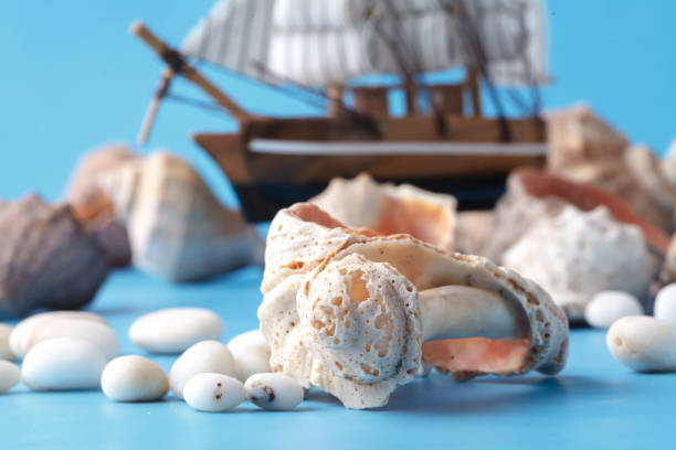 istock Sea travel in vacation concet with shell and ship 938209394