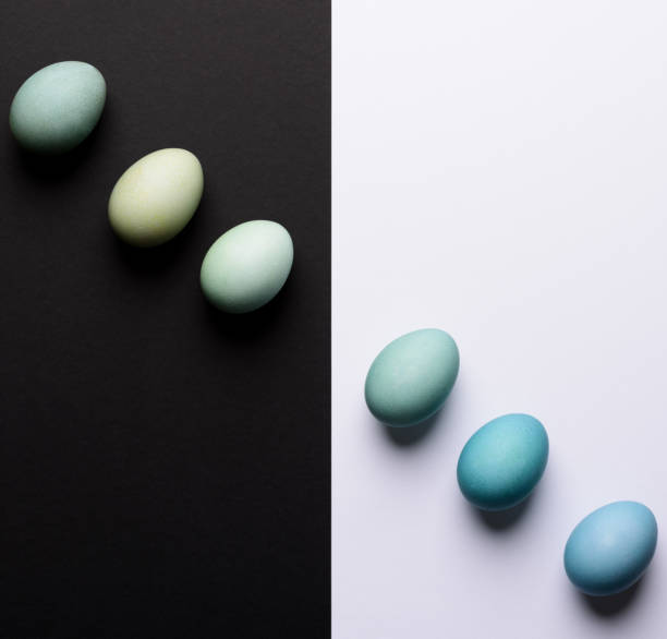 istock Happy Easter black and white background. Hand painted blue Easter eggs abstract minimal concept. 938210528
