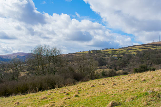 istock Countryside view landscscape over fields during sunny day 938215438