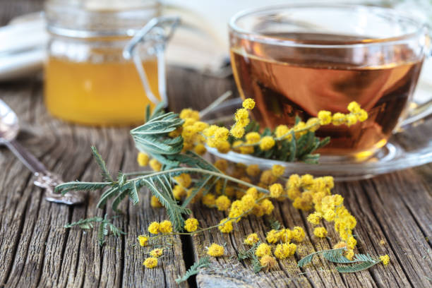 istock Yellow spring mimosa flowers 938217846