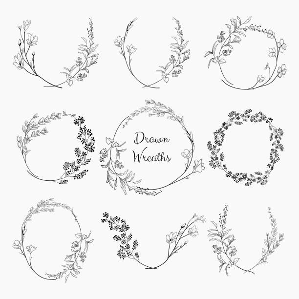 Doodle Wreaths with Branches, Herbs, Plants and Flowers Set of 9 Black Doodle Hand Drawn Decorative Outlined Wreaths with Branches, Herbs, Plants, Leaves and Flowers, Florals. Vector Illustration. Frames, Circles branch plant part illustrations stock illustrations