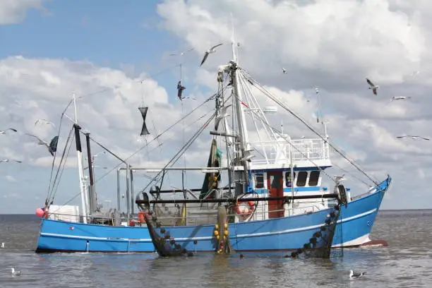 The picture shows a crab cutter catching up on the fishing nets. Some seagulls circle the cutter.