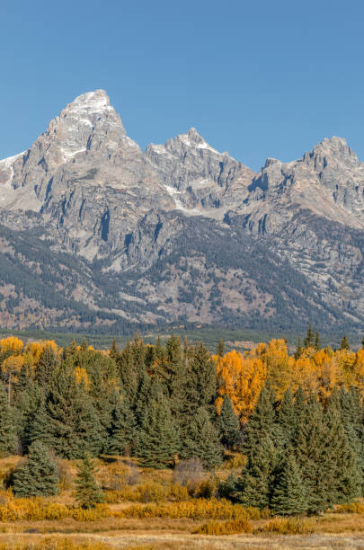 istock Scenic Teton Landscape in Fall 938227406