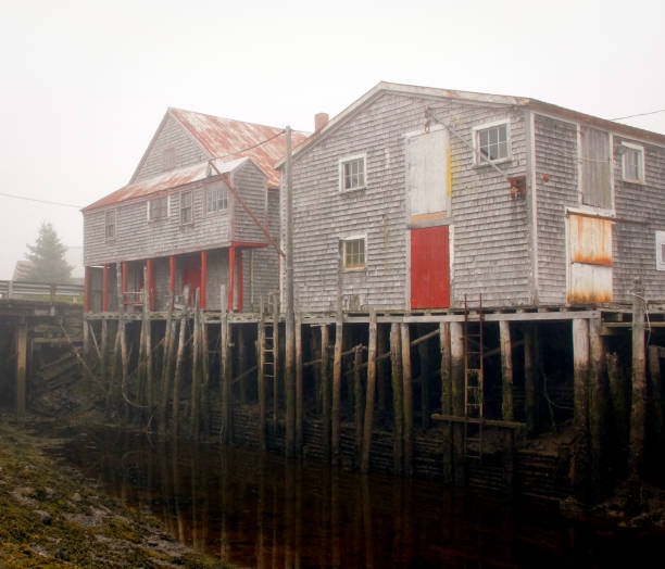 edifícios de cais de pesca no meio do nevoeiro na maré baixa de grand manan island, new brunswick, canadá - grand manan island - fotografias e filmes do acervo
