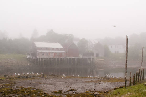 budynki nabrzeża rybackiego we mgle podczas odpływu na wyspie grand manan, nowy brunszwik, kanada - grand manan island zdjęcia i obrazy z banku zdjęć