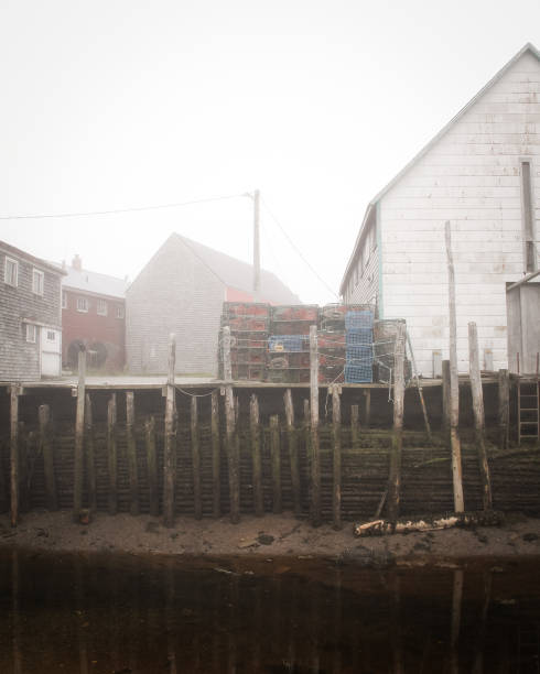 edifícios de cais de pesca no meio do nevoeiro na maré baixa de grand manan island, new brunswick, canadá - grand manan island - fotografias e filmes do acervo