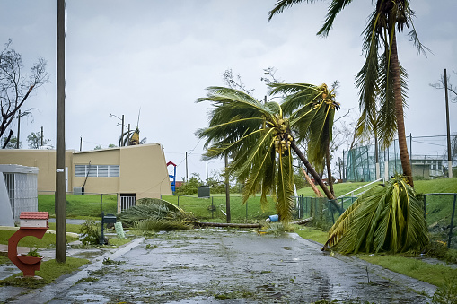 Carolina, Puerto Rico.