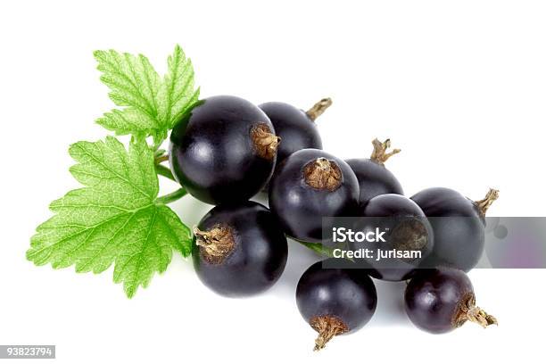 Schwarze Johannisbeere Stockfoto und mehr Bilder von Antioxidationsmittel - Antioxidationsmittel, Beere - Obst, Blatt - Pflanzenbestandteile