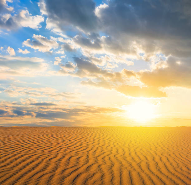 istock sandy desert landscape at the sunset 938243026