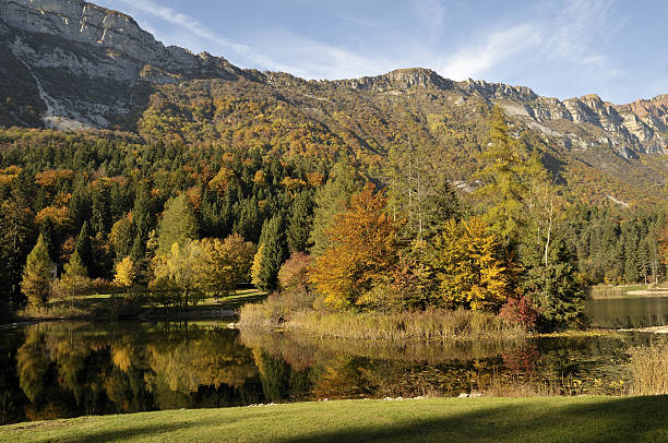 istock The colors of autumn 93824383