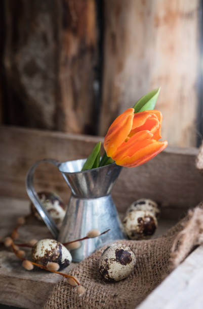 Orange tulip in iron mug and quail eggs on wooden background. Easter postcard concept, toned