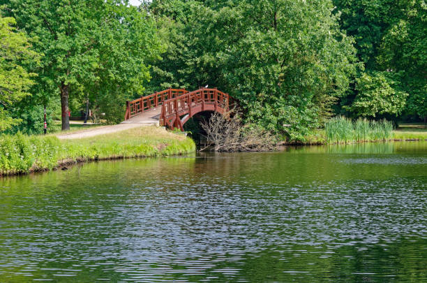Wooden bridge in a public park Johannapark (Clara-Zetkin-Park) in Leipzig, Germany