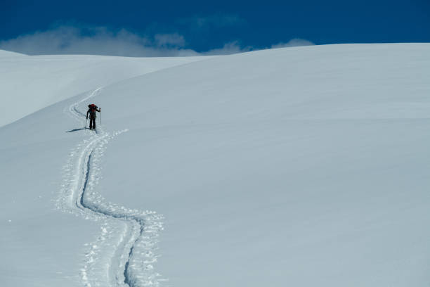 istock Male Backcountry Ski Touring 938254974