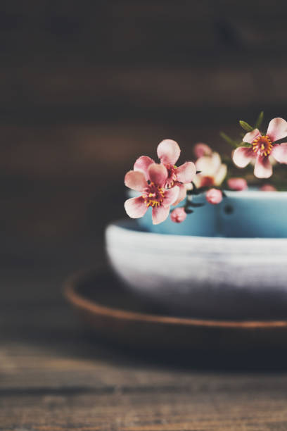 istock Still life with ceramic bowls and blossoms on rustic wood table 938258640
