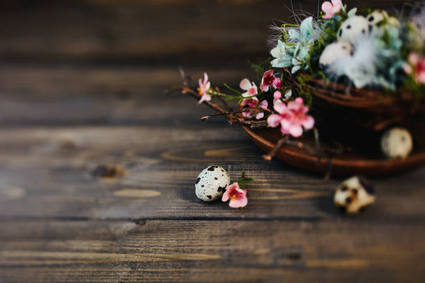 Easter background with nest, flowers and quail eggs Easter background with nest and quail eggs soft nest stock pictures, royalty-free photos & images