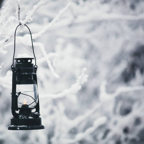 istock Winter still life. Lantern hanging on frozen tree branches 938261572