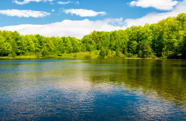istock beautiful reflection of a sky in the lake 938262300