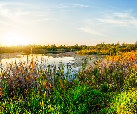 small summer lake at the sunset