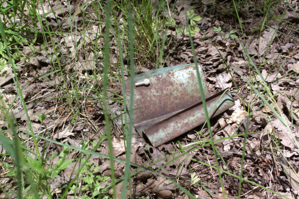 istock dyed rusted piece of iron among fallen oak leaves 938272110