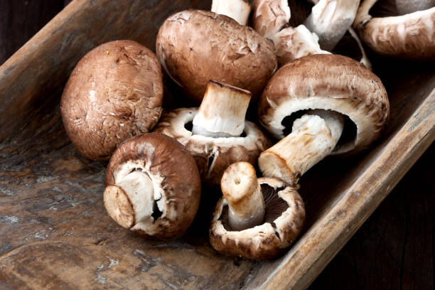 istock Fresh mushrooms on wooden board 938279882