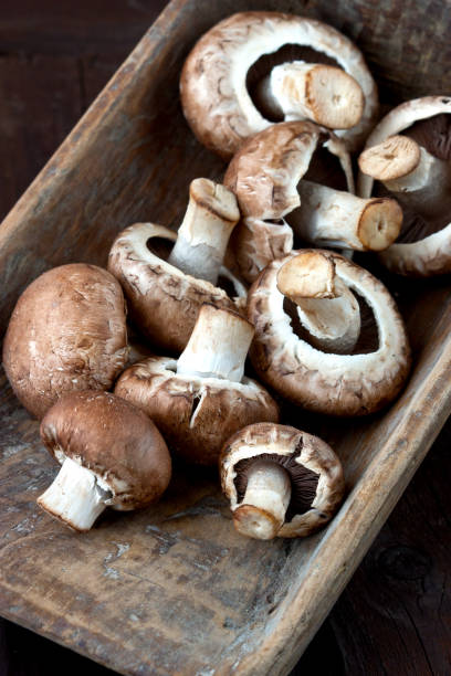 istock Fresh mushrooms on wooden board 938279892