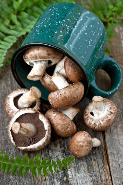istock Fresh whole mushrooms in ceramic mug on wooden background 938283320