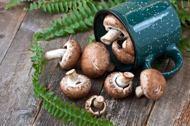 istock Fresh whole mushrooms in ceramic mug on wooden background 938283350