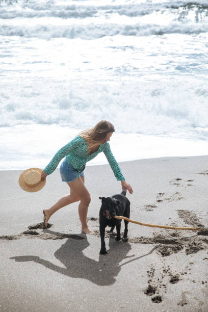 istock happy woman walking on the beach playing with her dog 938284090