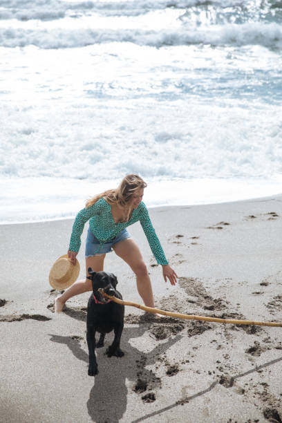 istock happy woman walking on the beach playing with her dog 938284092