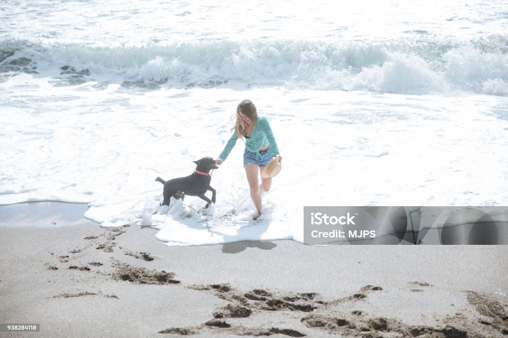 happy woman walking on the beach playing with her dog Adult Stock Photo